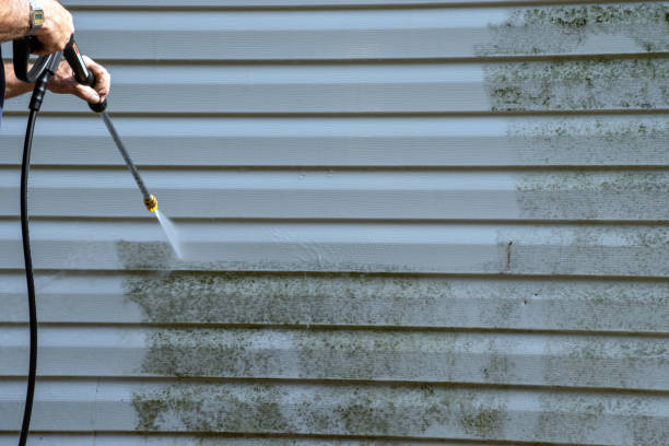 Best Garage Cleanout  in Wanatah, IN